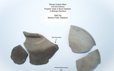 2005 Dig-Roman Pottery Sherds (coarse ware)