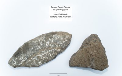 2007 Field Walk-Roman Quern stones