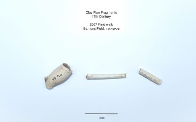 2007 Field Walk-Clay Pipe fragments