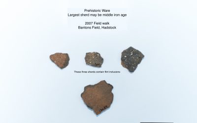 2007 Field Walk-Prehistoric Pottery Sherds